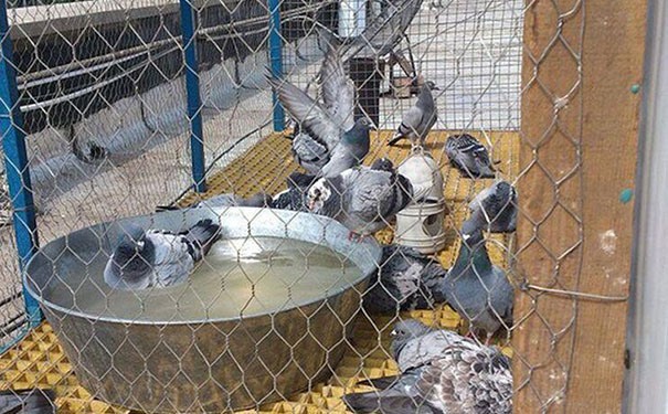 生產玻璃鋼格柵板設備廠家